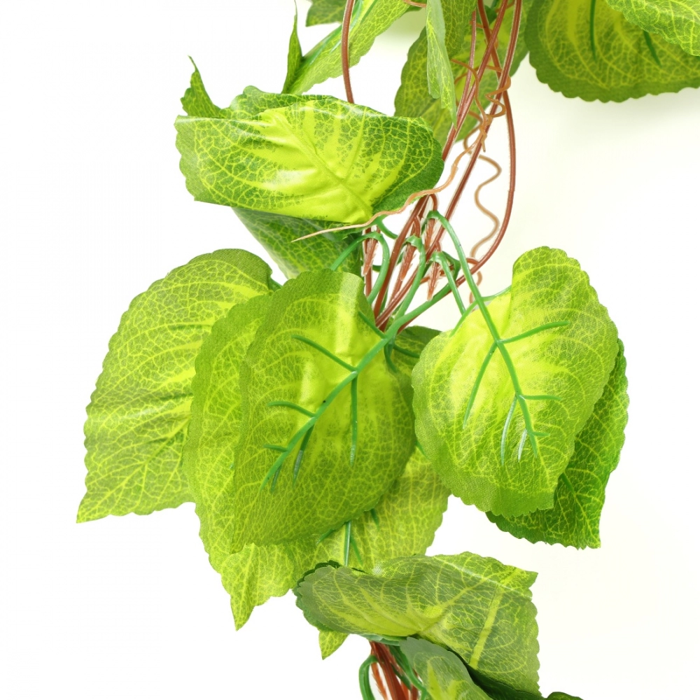 Pack Of 2 Silk Polyester Artificial Money Plant Leaf Vine Hanging Garland Foliage Flowers Leaf Plants For Wall Decoration (Color: Green,Length: 15 Feet) - Image 4